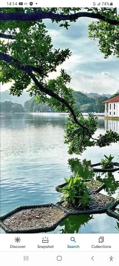Charlton Kandy City Rest